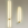 Настенный светильник ODEON LIGHT FILLINI 4335/18WGP